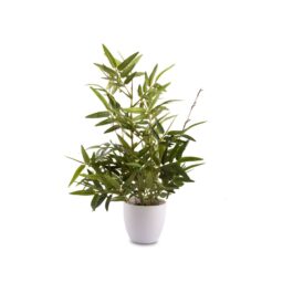 Maceta Bamboo - Verde - Claudia Adorno